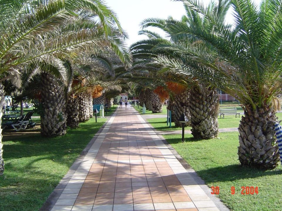 Club Mega Saray Megasaray Club Belek