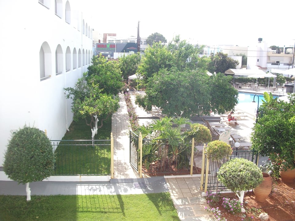 Gartenanlage Hotel Malia Holidays