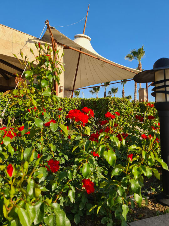 Garten Kamelya Collection Selin Hotel