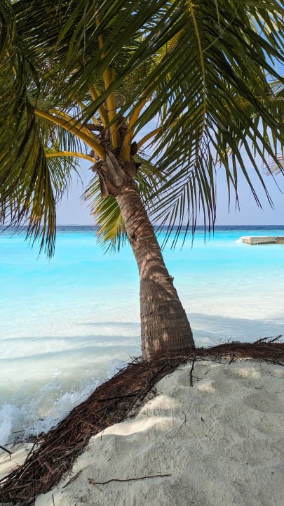 Strand Adaaran Select Meedhupparu Island Resort - Premium All Inclusive