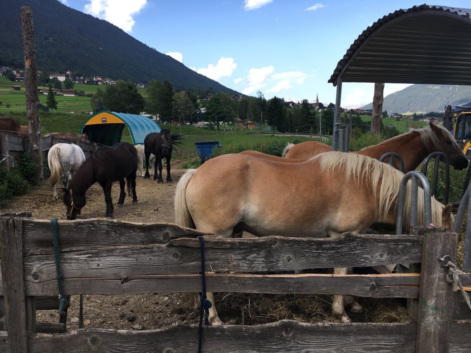 Sonstiges Pension Grubenhof