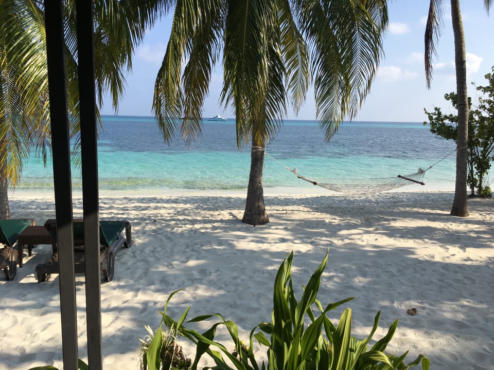 Zimmer Kuredu Island Resort & Spa