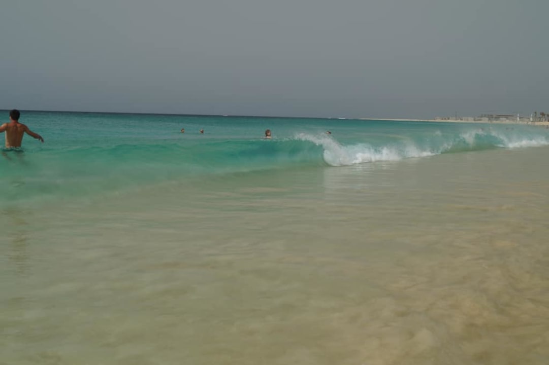 W wodzie Oasis Salinas Sea