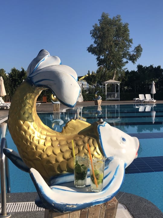 Pool Hotel Delphin Imperial