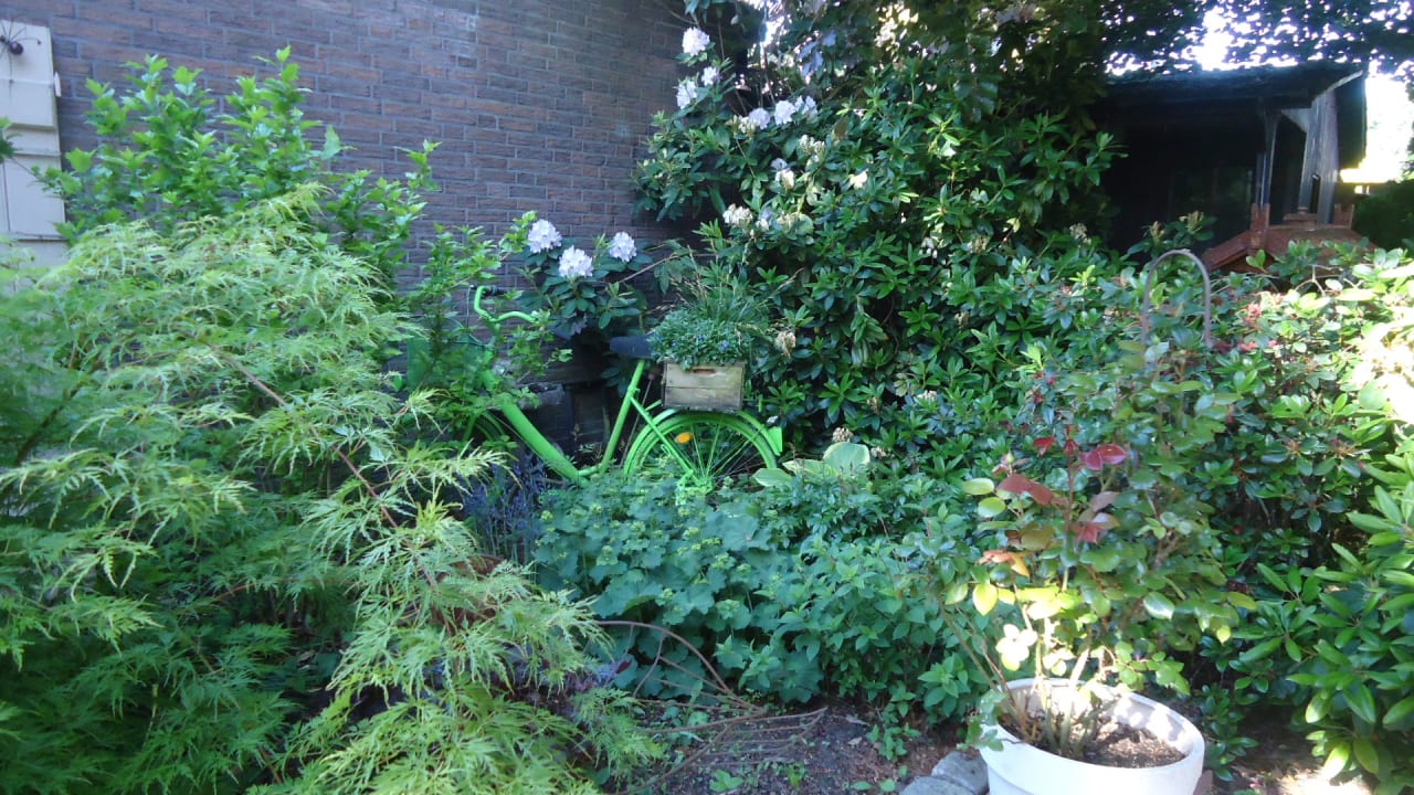 Gartenanlage Hotel Rosmarin