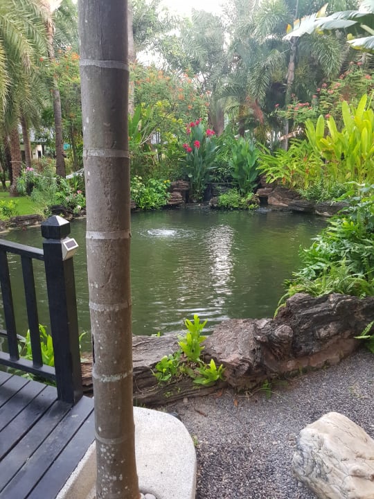 Gartenanlage Jurassic Mountain Resort & Fishing Park