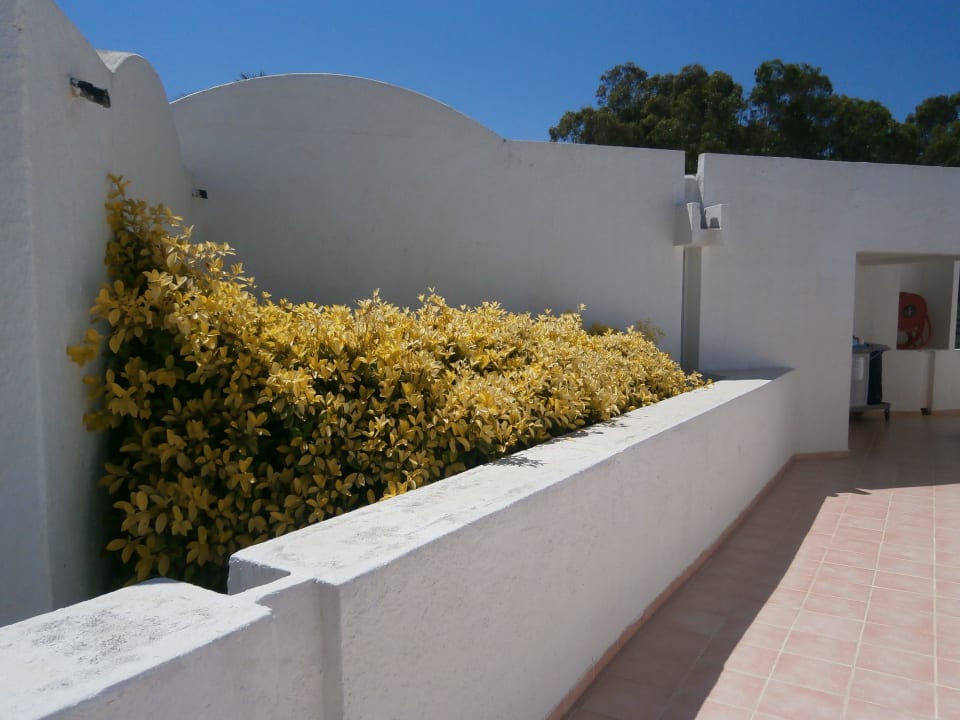 Hier gehts zu den Bungalows Steigenberger Marhaba Thalasso Hammamet