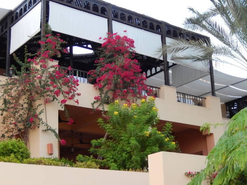 Buffet retaurant  Steigenberger Coraya Beach - Adults only