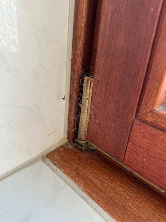 Zimmer Heiligenhafen Ferienpark