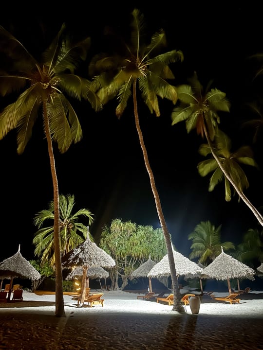 Gartenanlage SBH Kilindini Resort