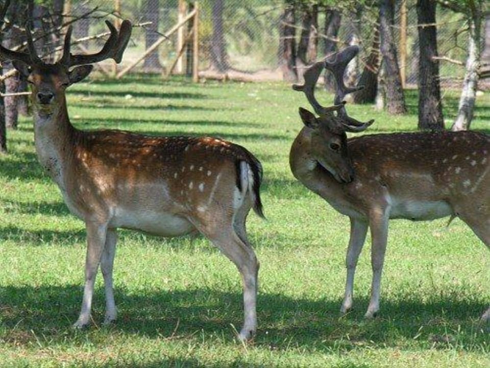 Camping & Bungalows Marina d'Erba Rossa Marina d'Erba Rossa