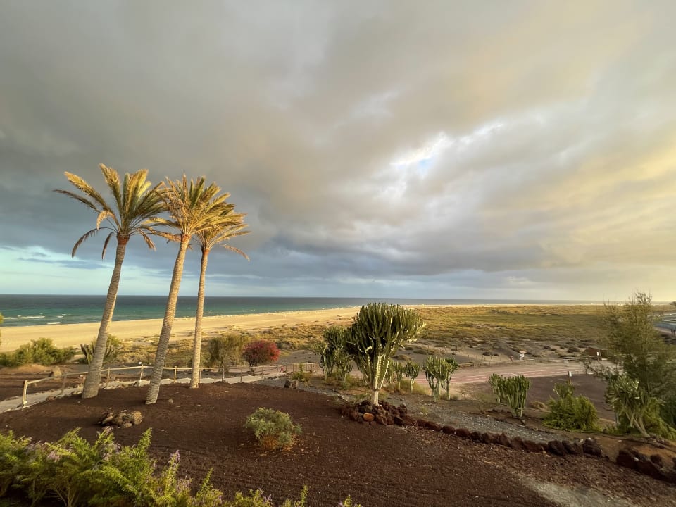 Zimmer Iberostar Selection Fuerteventura Palace