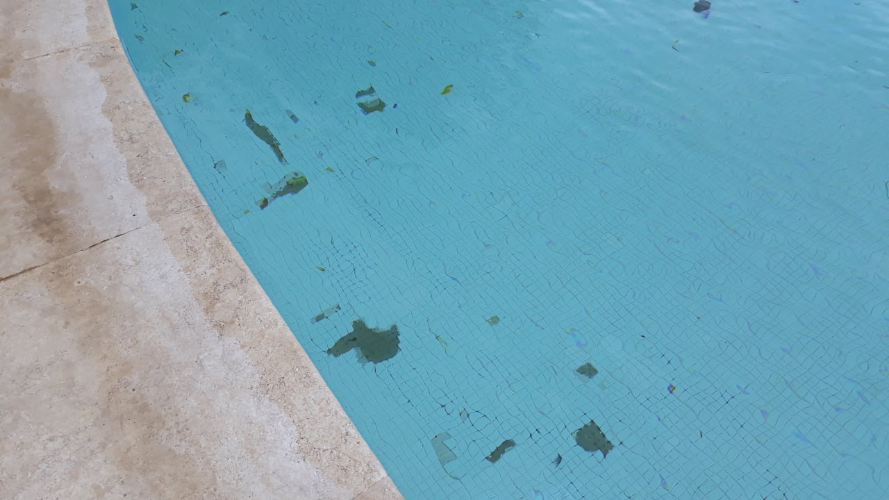 Pool Makadi Palace