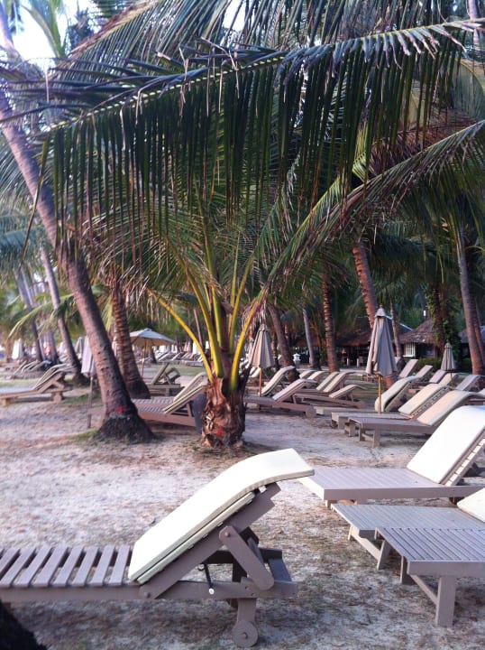 Kaputte Grünfläche Cape Panwa Hotel