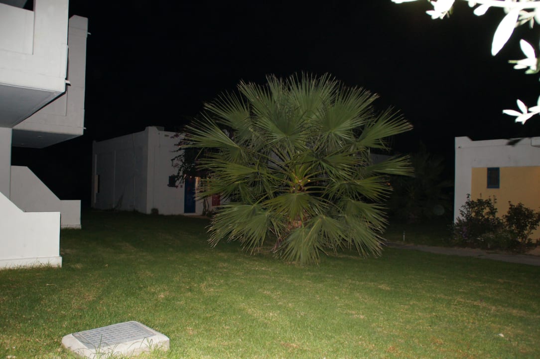 Olive by night TUI KIDS CLUB Alex Beach