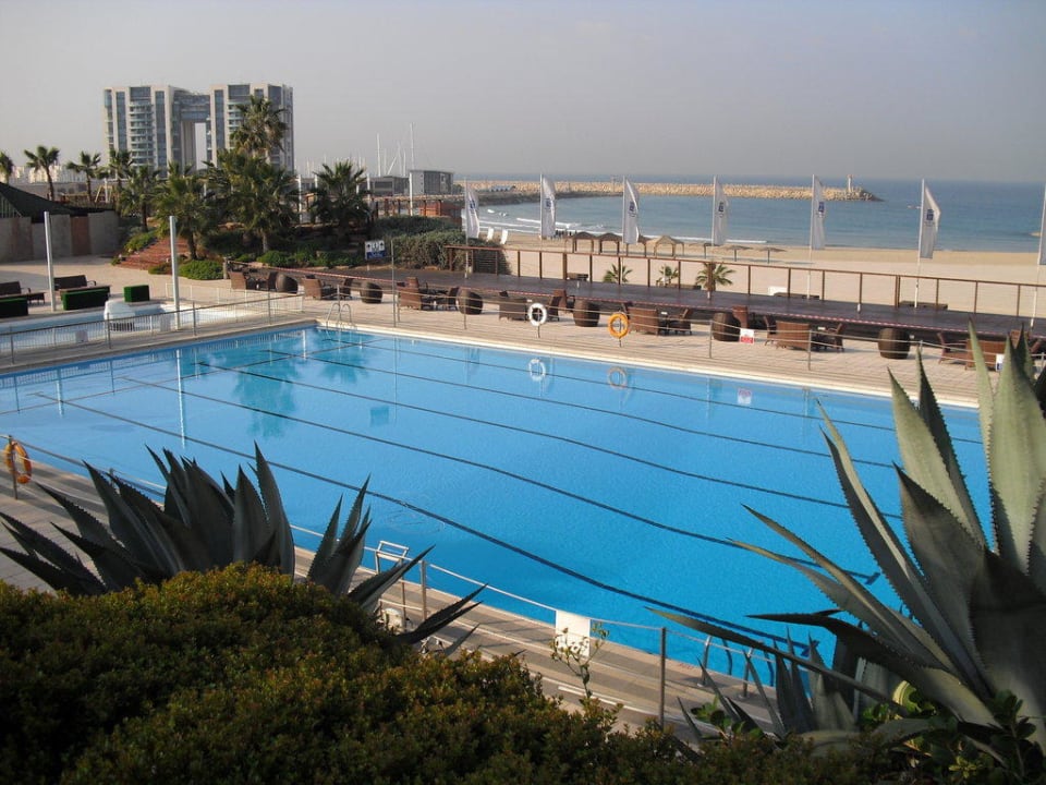 Ausblick auf die Poolanlage Dan Accadia Herzliya On Sea