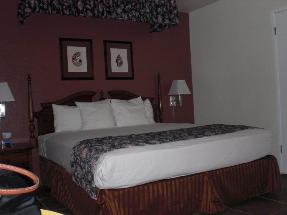 Zimmer im Erdgeschoss Kings Inn Hotel - Seaworld/Zoo