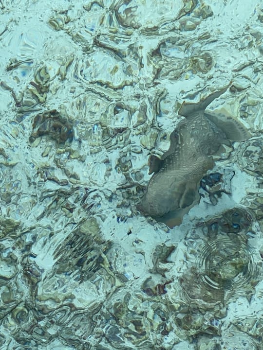 Strand Cinnamon Dhonveli Maldives