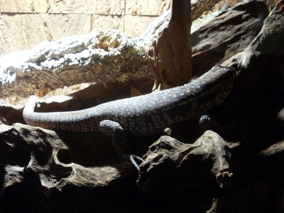 Dschungelland Ferienwohnungen Ferienpark Weissenhäuser Strand