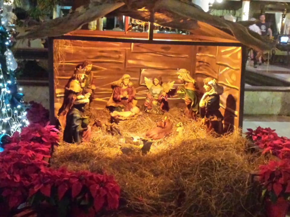 Hotel Grand Palladium Palace Resort, Spa & Casino Hotel Grand Palladium Palace Resort, Spa & Casino