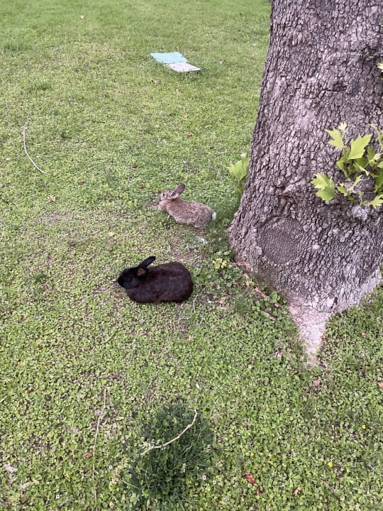 Gartenanlage Labranda Alantur Resort