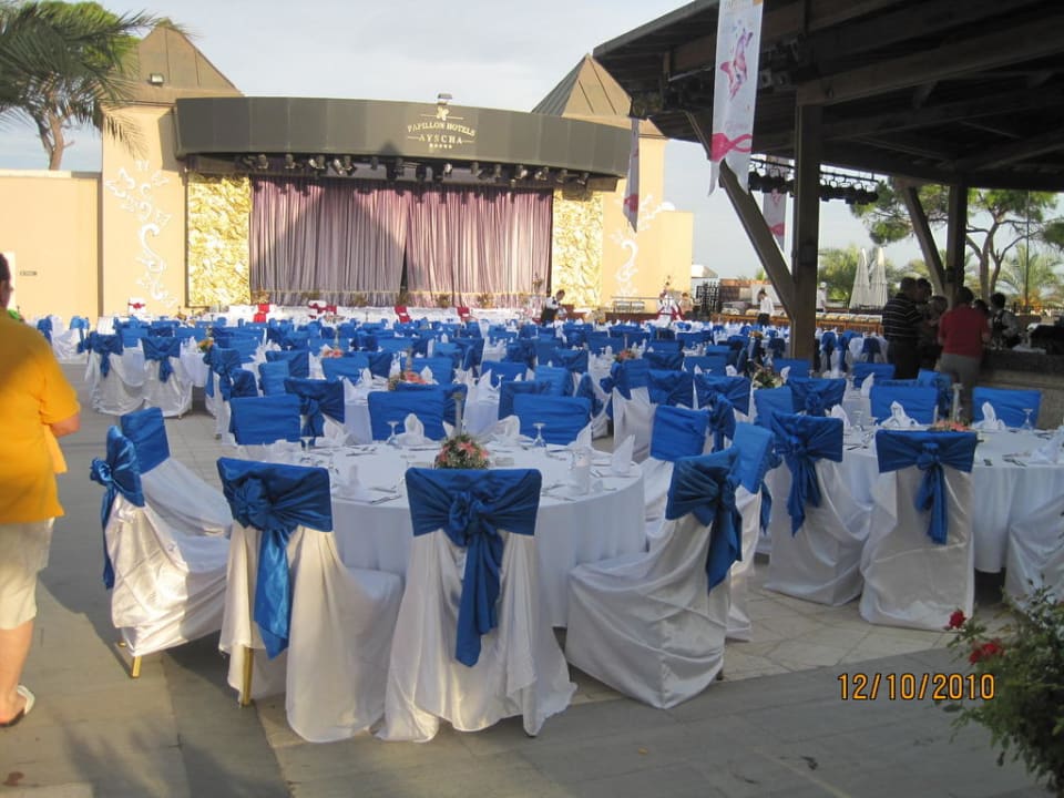 Eingedeckt zum Gala Dinner Papillon Ayscha