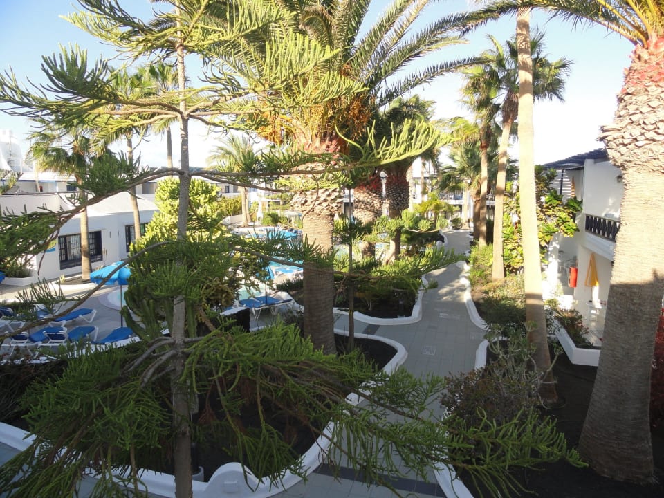 Garten mit Pool Bungalows & Appartements Playamar