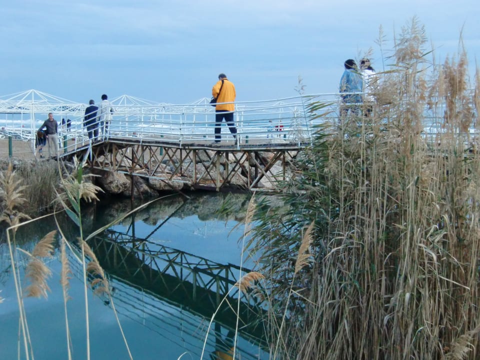 Brücke am Strand TUI BLUE Xanthe