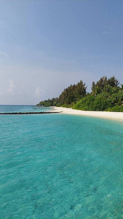 Strand Summer Island Maldives