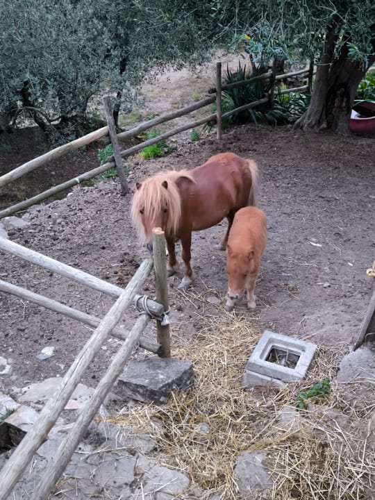 Sport & Freizeit Pension Villa Guarnaschelli