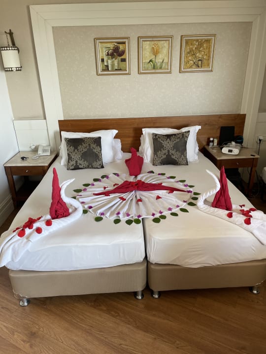 Zimmer Alba Queen Hotel