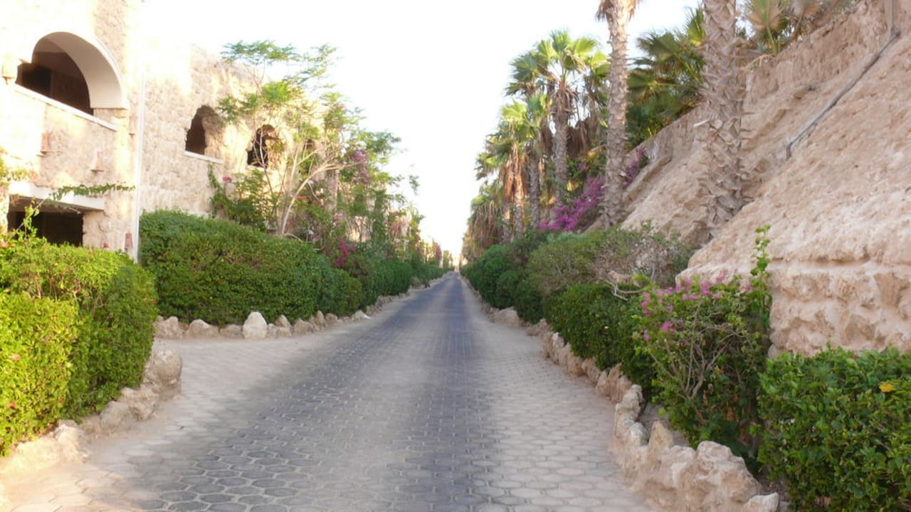 Weg hinter dem Gebäude 8 und 7 Pickalbatros Citadel Resort