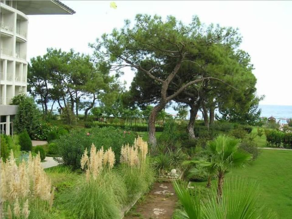 Gartenansicht. Kilikya Palace Göynük