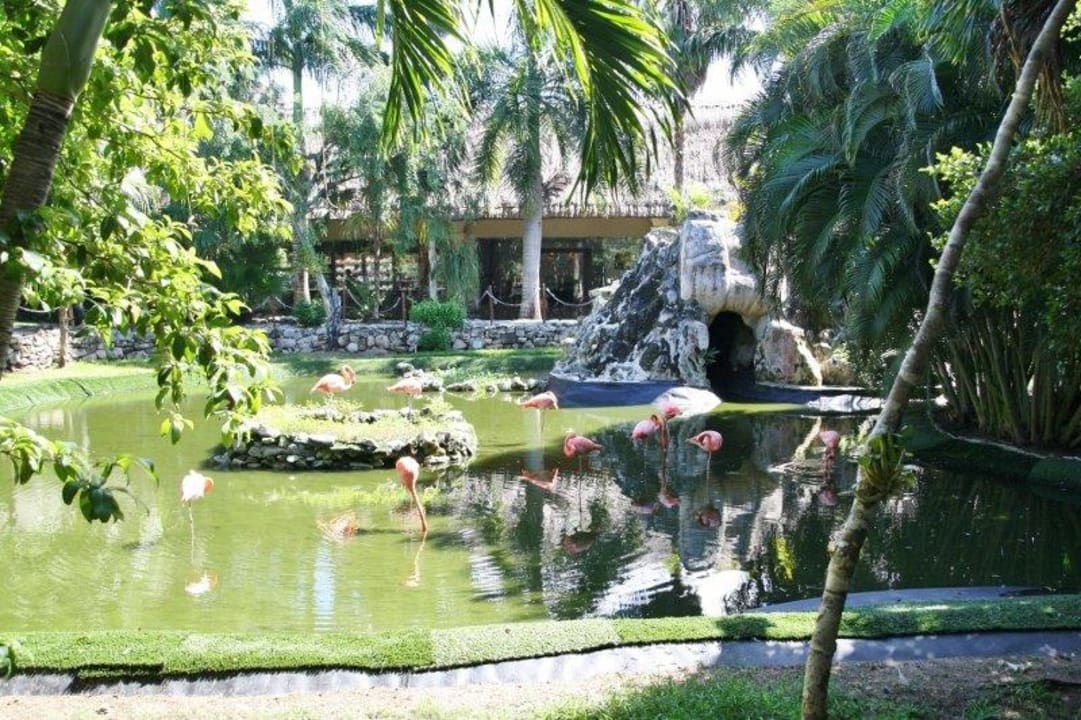 Vor der Lobby Grand Palladium Kantenah Resort & Spa