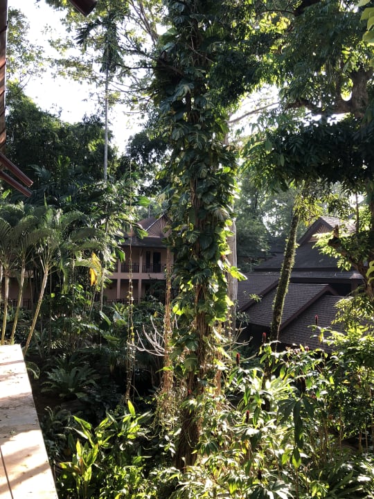 Gartenanlage Khao Lak Merlin Resort