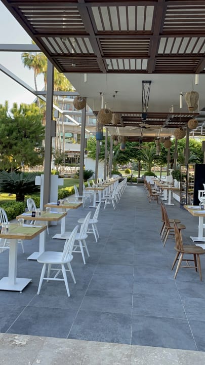 Gastro Acanthus Cennet Barut Collection