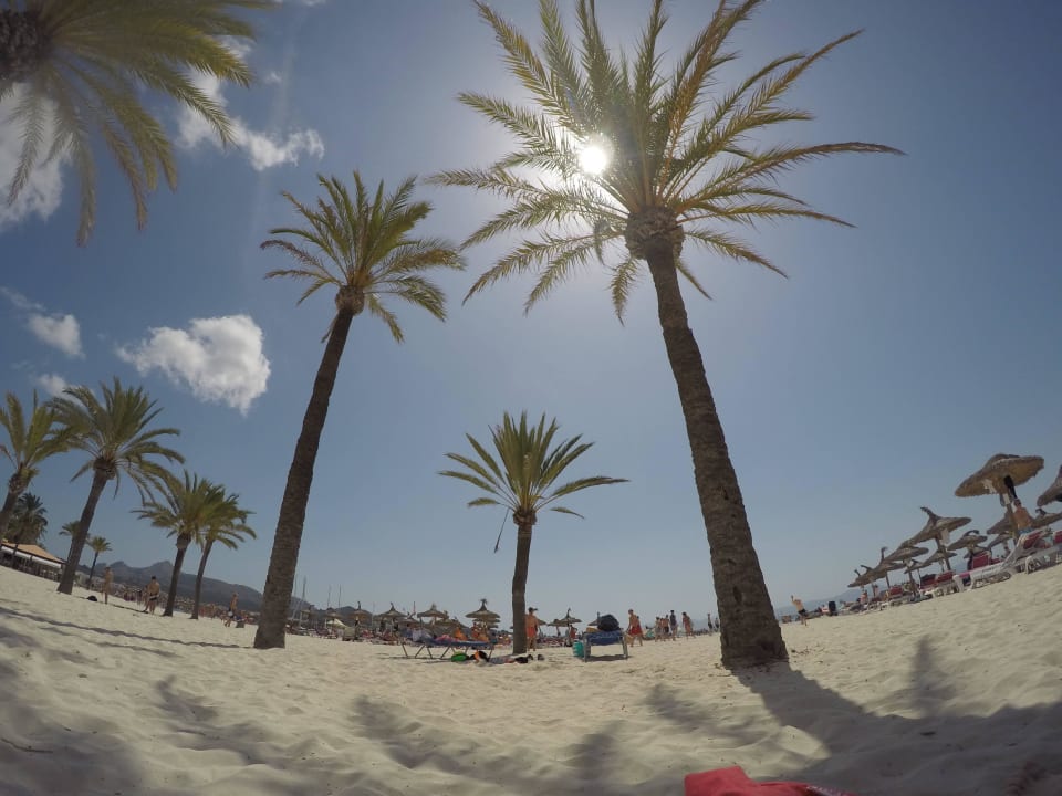 1 Bahía de Alcúdia Hotel & Spa