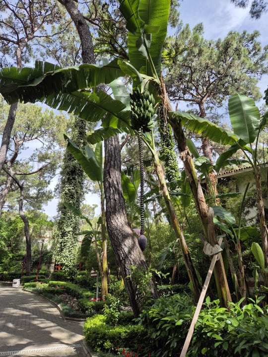 Gartenanlage Ulusoy Kemer Holiday Club