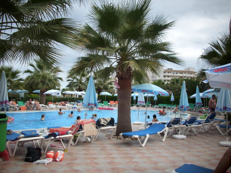Pool allsun App.-Hotel Orient Beach