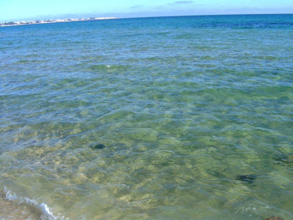 Wasser Sentido Phenicia