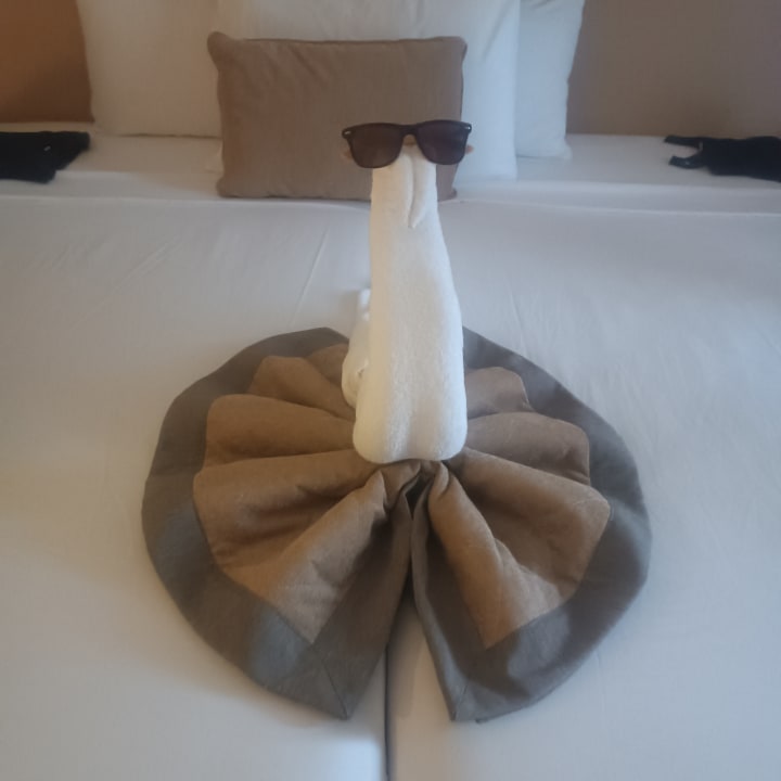 Zimmer JAZ Elite Amara