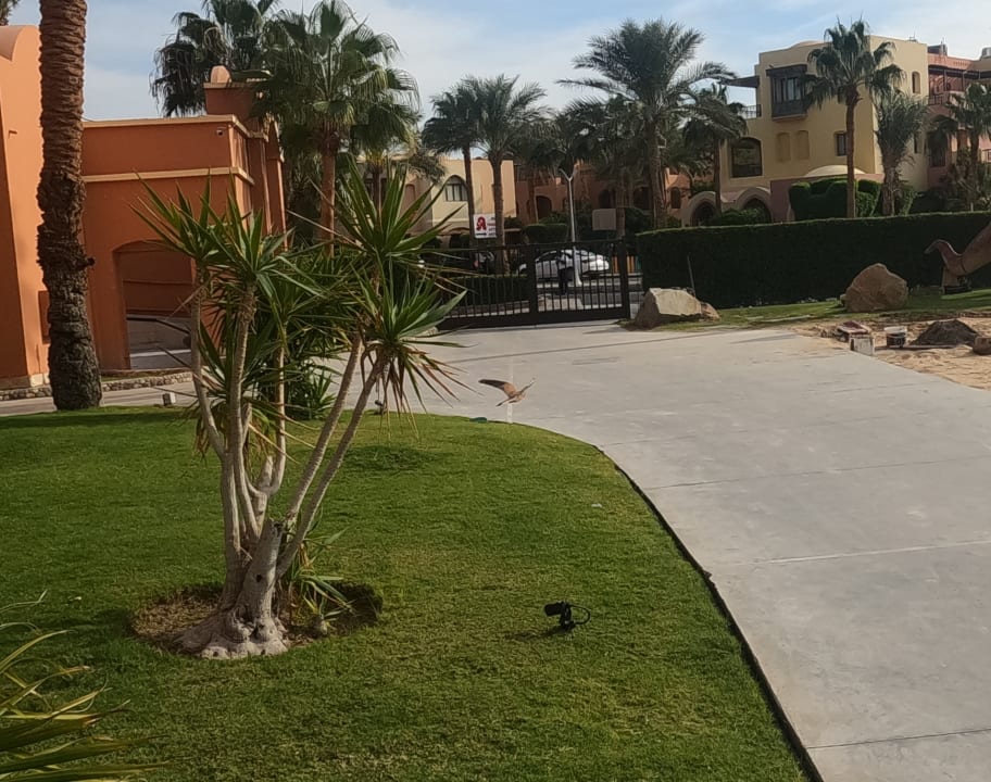 Gartenanlage Hotel JAZ Makadi Star & Spa