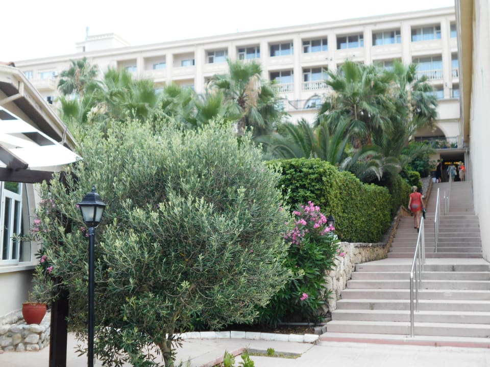 Gartenanlage Oscar Resort Hotel