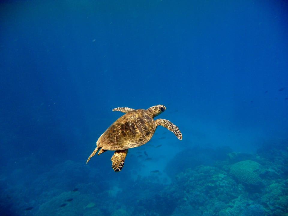 Strand Three Corners Sea Beach Resort