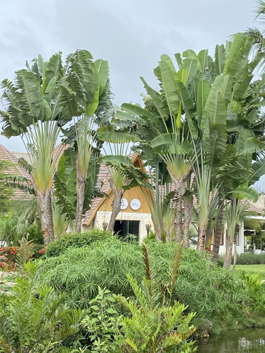 Gartenanlage Sunscape Dominicus La Romana