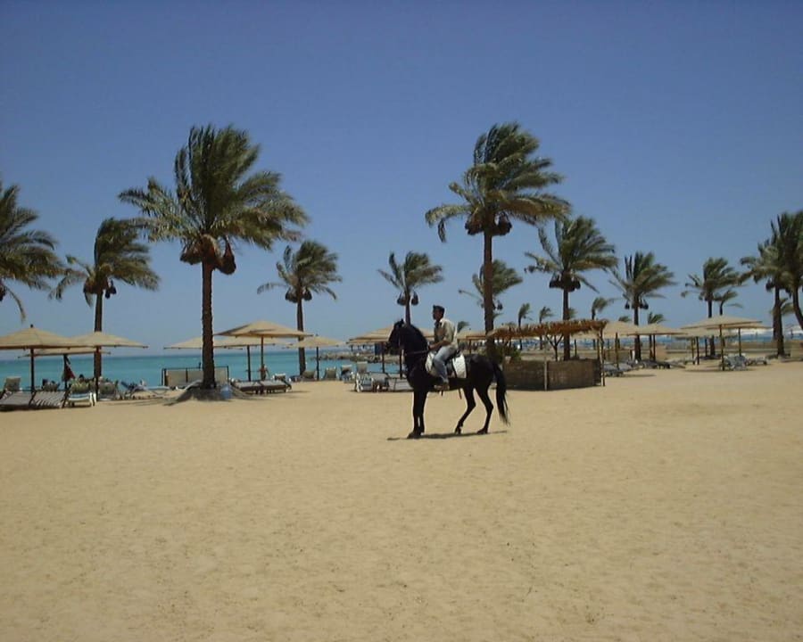 Intercontinental resort & casino, hurghada Continental Hotel Hurghada