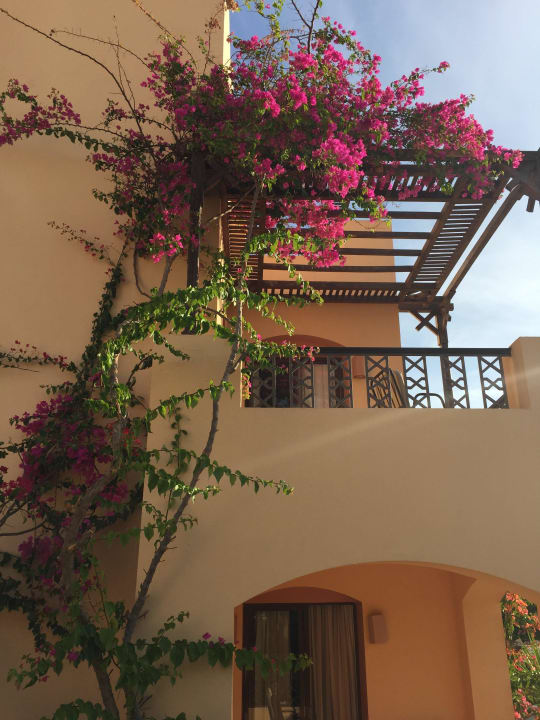 Schöne Pflanzen an den Häusern Steigenberger Coraya Beach - Adults only