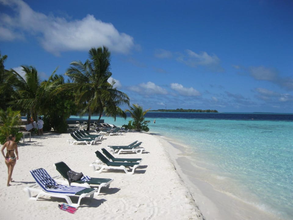 Westspitze mit Pool im Hintergrund Vilamendhoo Island Resort & Spa