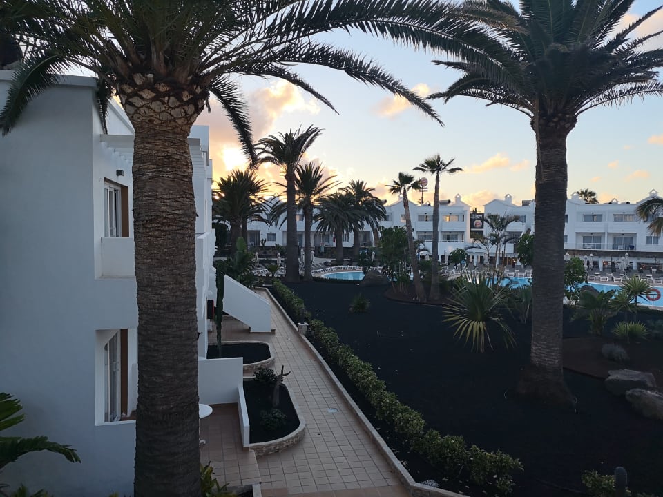 Gartenanlage LABRANDA Corralejo Village