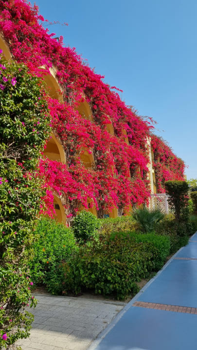 Garten TUI MAGIC LIFE Calabria